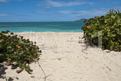 Coast in Saint Maarten Island, Dutch Antilles