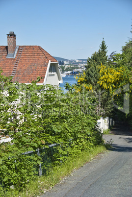 Detail of Oslo, Norway, May 2009, Spring