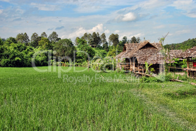 Changmai, Thailand