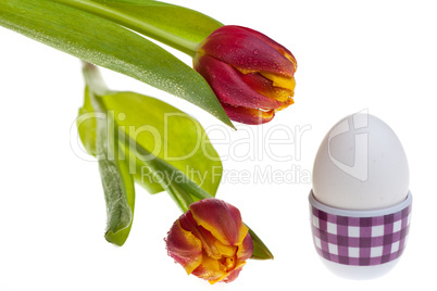 Eier und Tulpen im Frühling