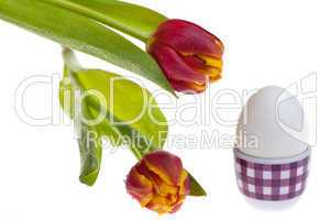 Eier und Tulpen im Frühling