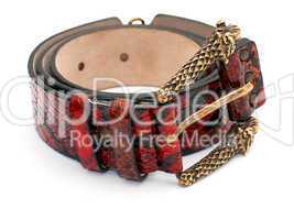 Red snake leather belt