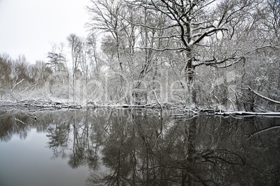 Seeufer im Winter