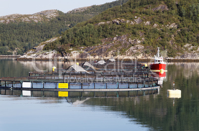 Lachsfarm in Norwegen