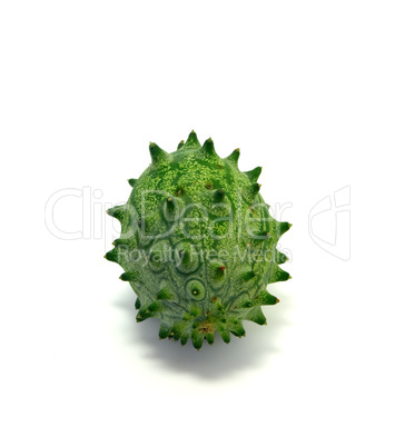 Kiwano or Horned Melon (Cucumis metuliferus)