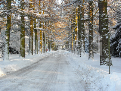 Bushaltestelle Lerchenallee im Winter