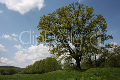 Frühlingslandschaft