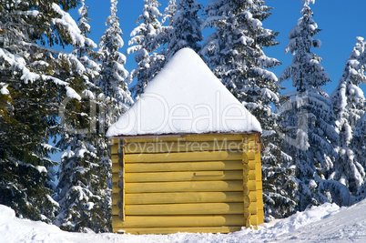 Log cabin in snowy forest