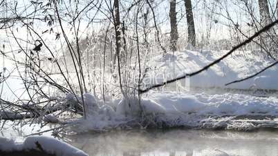 Winter morning in forest.