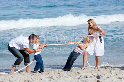 Cheerful family playing tug of war