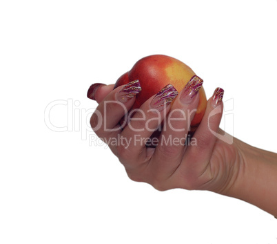 women hand holding peach isolated on a white