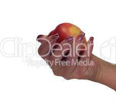 women hand holding peach isolated on a white