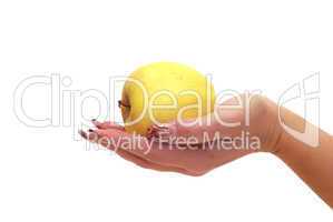 women hand holding apple isolated on a white
