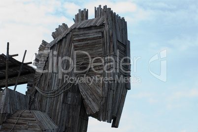 Wooden head of troya horse