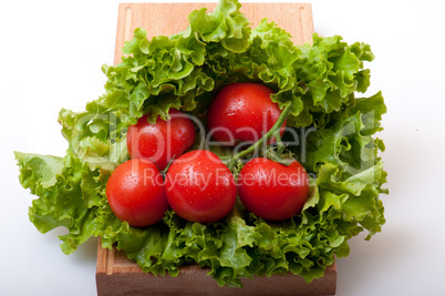 tomato and salad