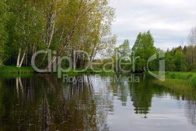 beautiful abstract forest river