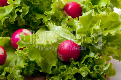 radish and salad