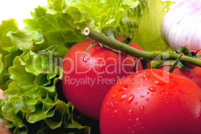 tomato and salad