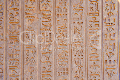 egypt hieroglyphs from Karnak temple in Luxor