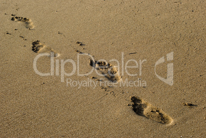 footprints on the Sea beach sand