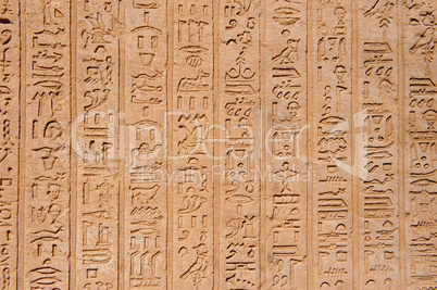 egypt hieroglyphs from Luxor