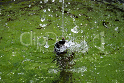 Fountain source close up