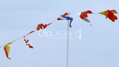 Ceremonial flags