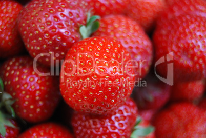 Ripe strawberrys close up