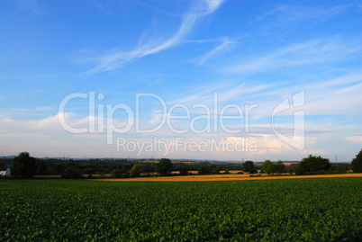 Fields and sky with cloudscape