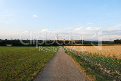 Narrow road between two fields