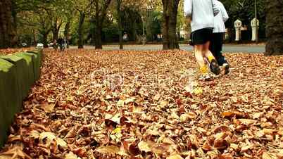 Young couple jogging through the autumn leaves