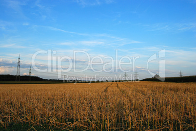 Blue sky over hayfield