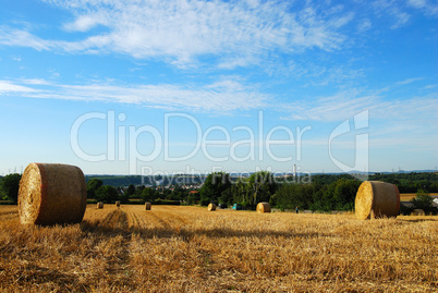Hay field with round haystacks