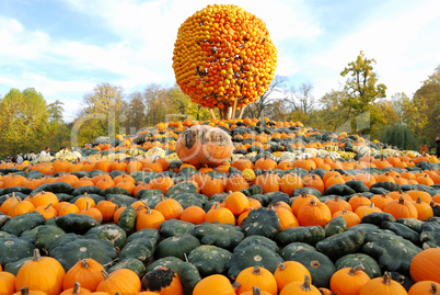Heap of pumpkins and pumpkin sphere