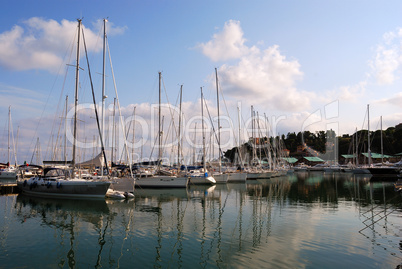 Harbor with yachts