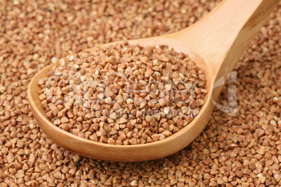 Small buckwheat groats