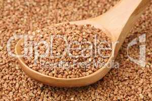 Small buckwheat groats