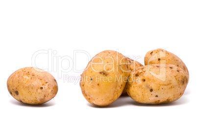 Potatoes on studio white