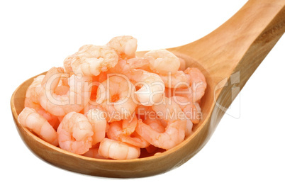 Shrimps