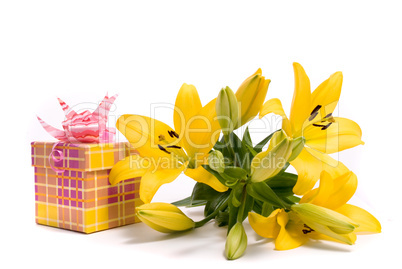 Yellow lily and gift box on a white background