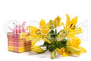 Yellow lily and gift box on a white background