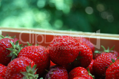 Busket of strawberryes