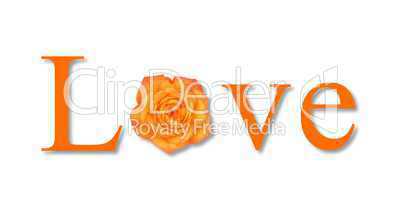 Love Flower Orange