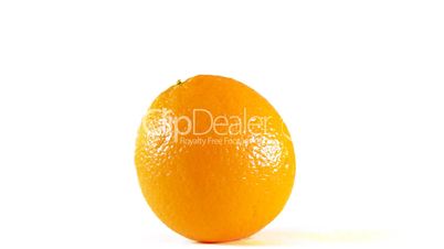 rotating orange  isolated on a white background, loopable