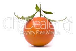 Fresh grapefruit isolated on a studio white background.