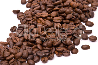 Coffee beans on a white background