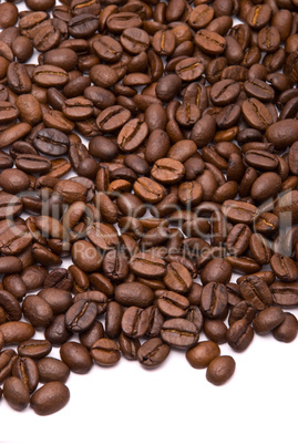 Coffee beans on a white background