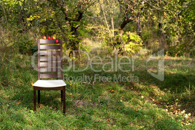 Chair in the garden