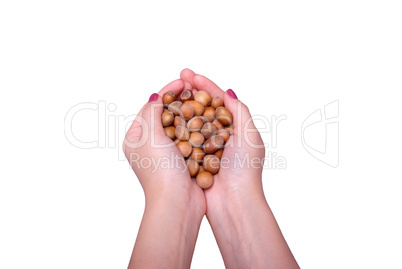 Female hands from handfuls of wood nuts