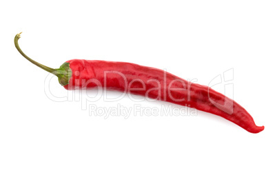 Hot pepper.